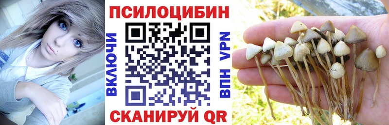 Псилоцибиновые грибы Psilocybine cubensis Купить Никольское